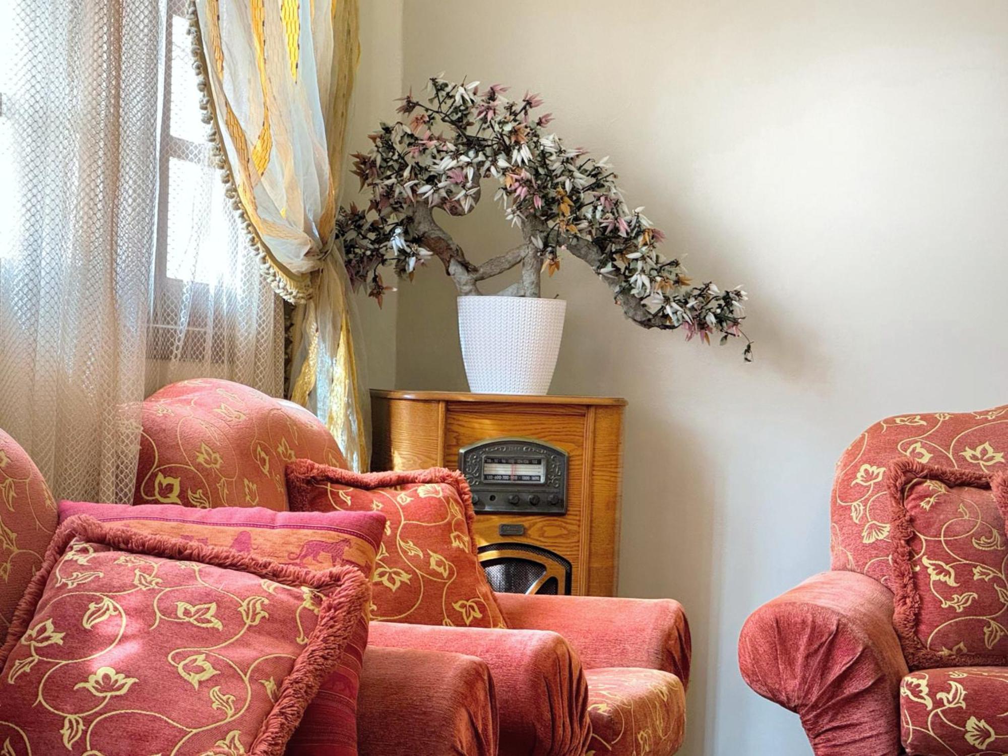Oranger Family House City Center, Private Large House, Terasse Garden View, Free Parking Marrakesh Eksteriør billede